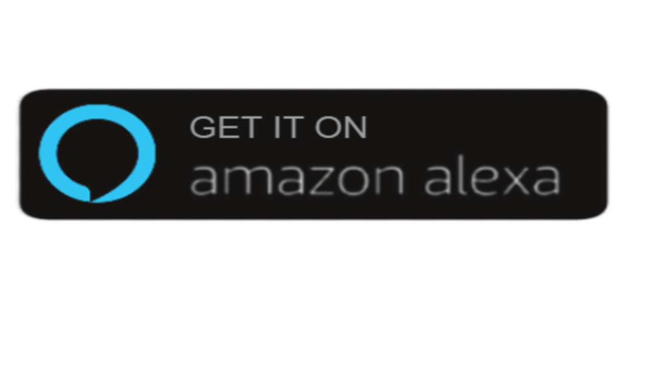 Alexa Skill Store